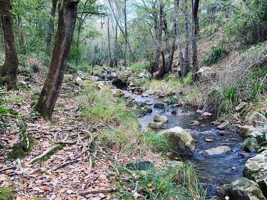 Ruta Sendero Valdeinfierno-Los Barrios必去景点