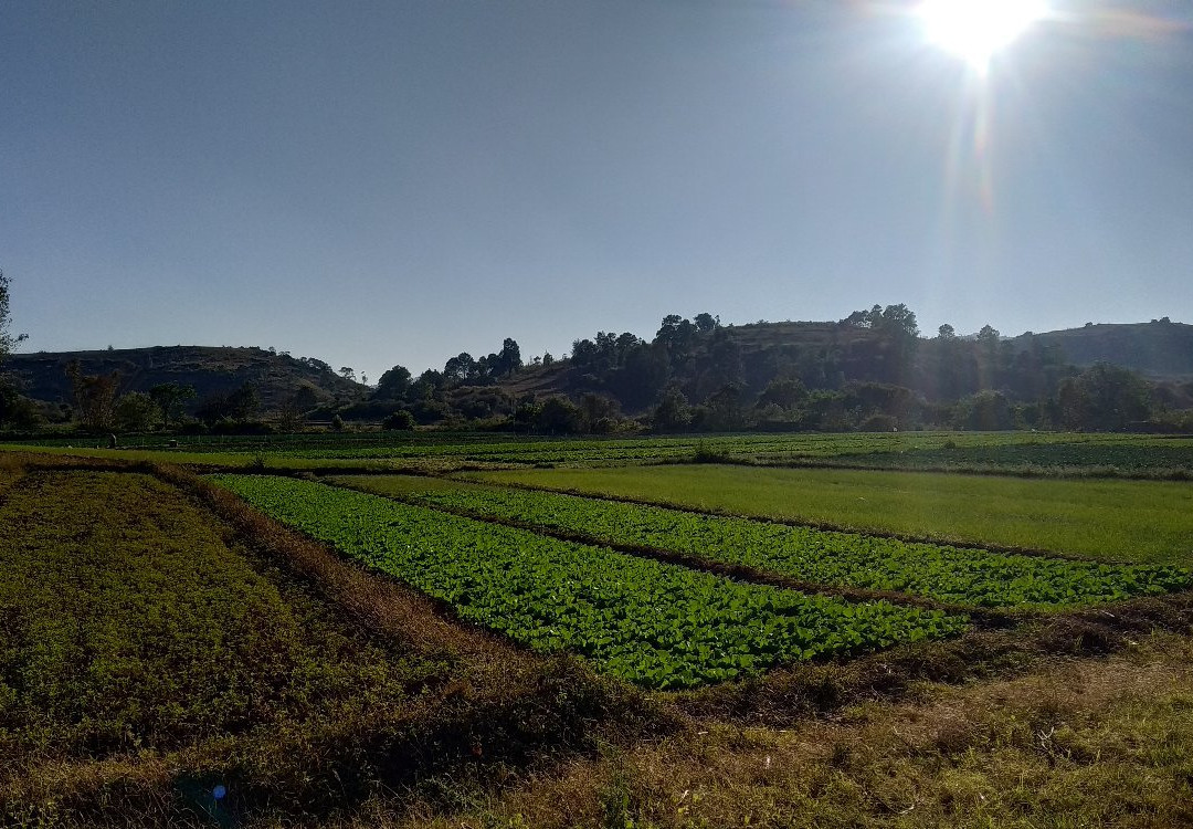 Green Land Trekking Kalaw-格劳必去景点