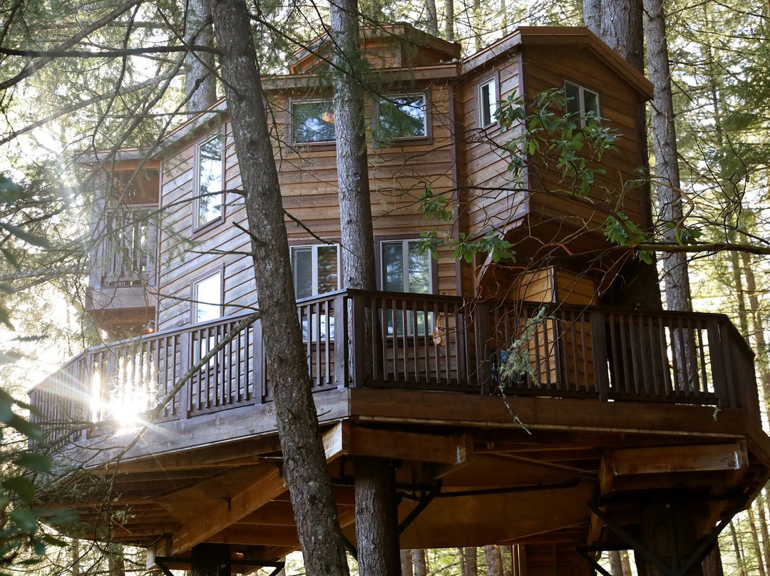 Vertical Horizons Treehouse Paradise主图