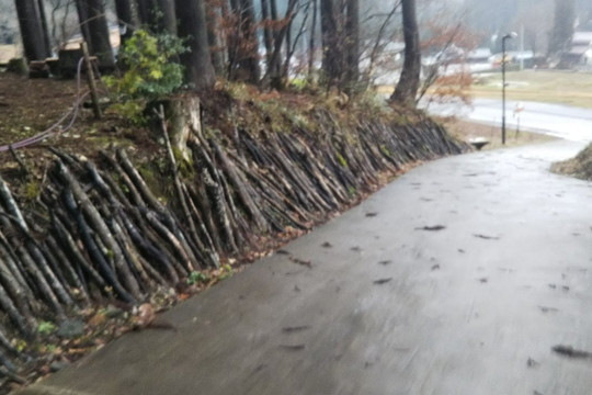 Tree Picnic Adventure Ikeda-池田町必去景点