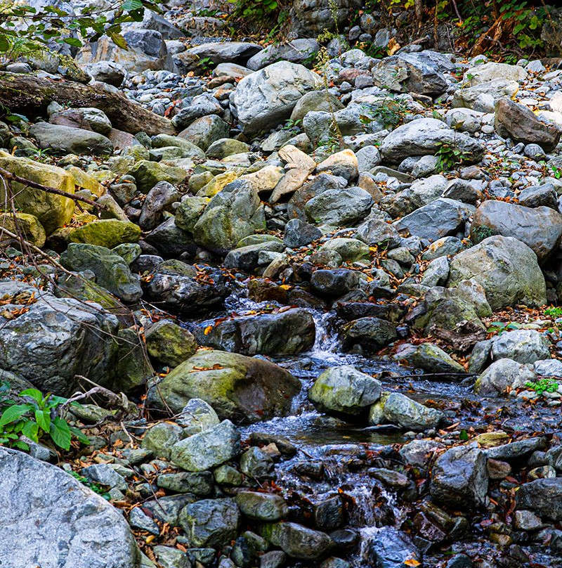 Lagodekhi National Reserve-Lagodekhi必去景点