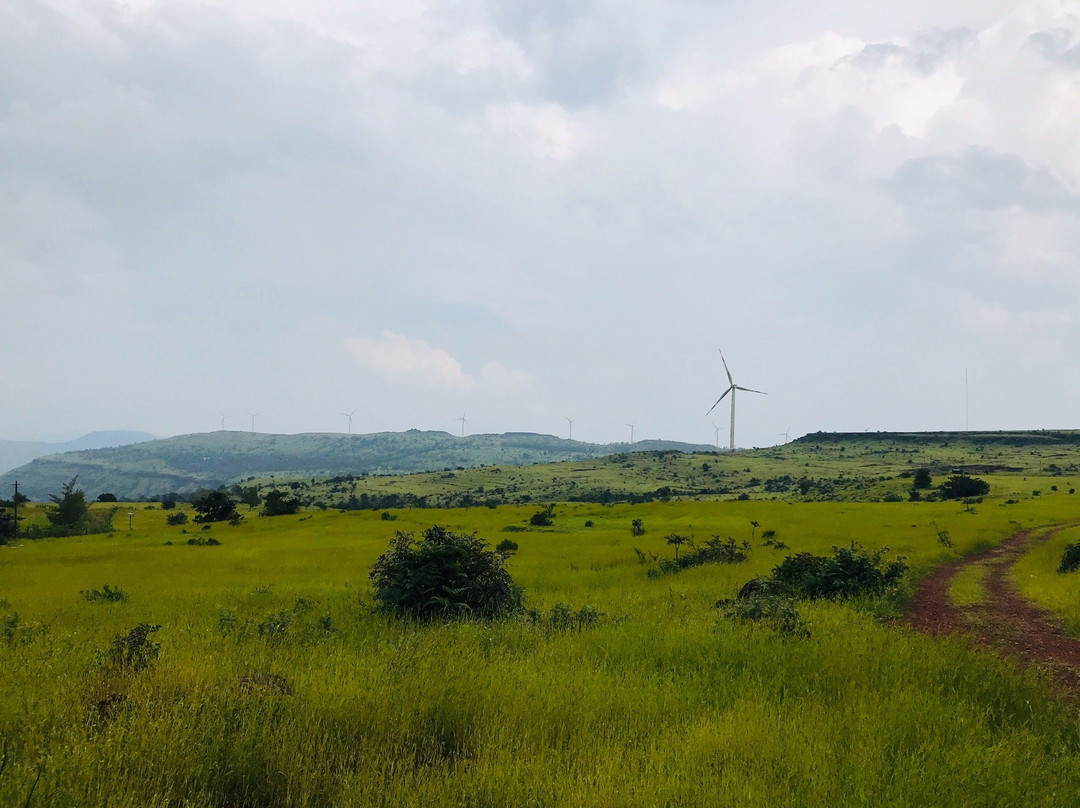 Chalkewadi Windmill Farms景点图片