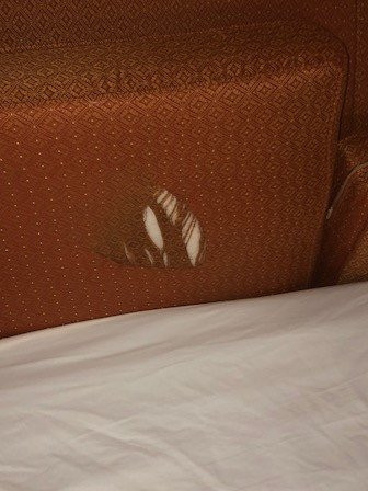 Comfort Suites Canton - Detroit主图