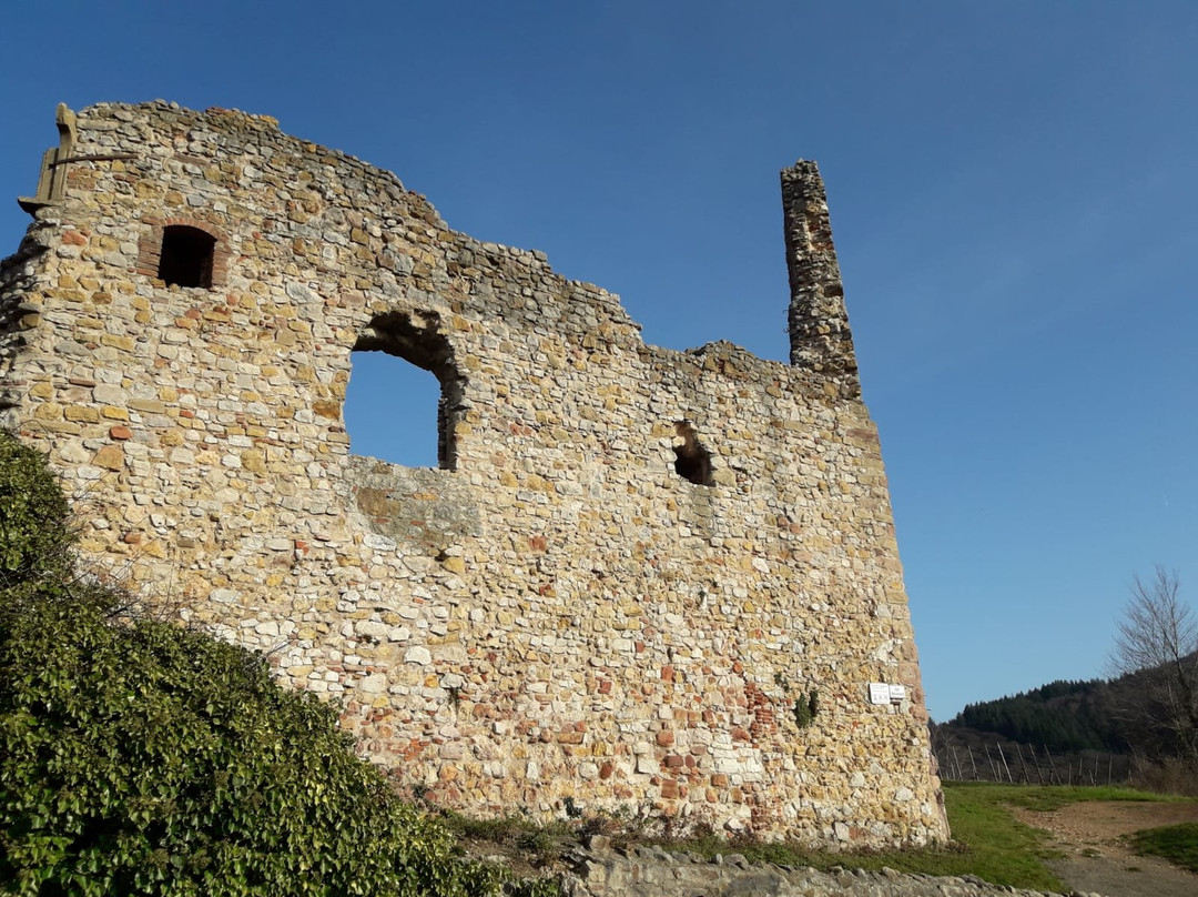 Burgruine Schlossberg景点图片