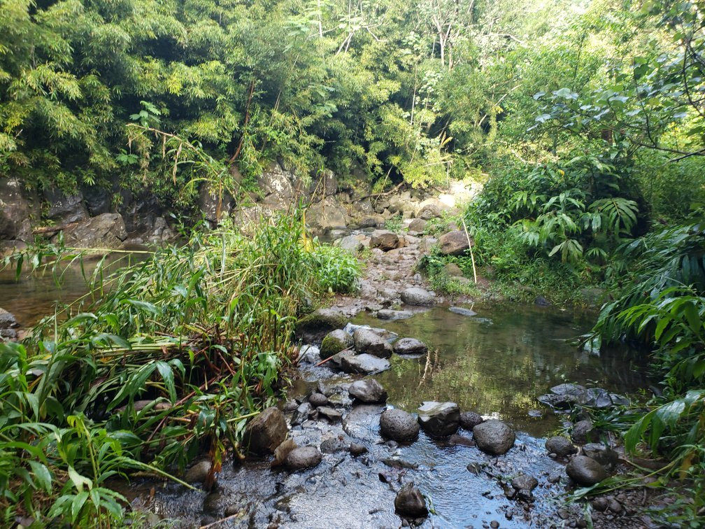 Makaleha Falls Trail-卡帕阿必去景点
