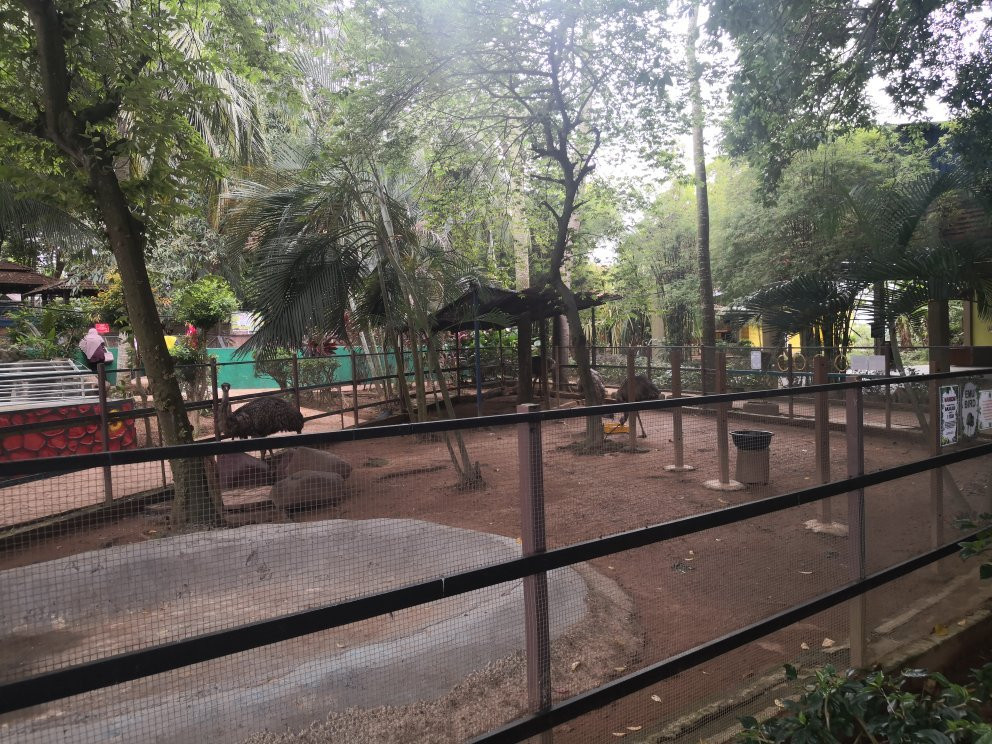 Taman Buaya & Rekreasi Melaka-爱极乐必去景点