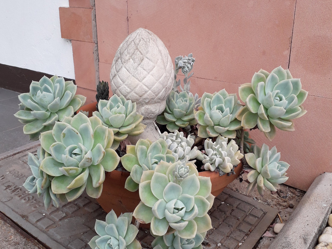 Baviera Park Hotel主图