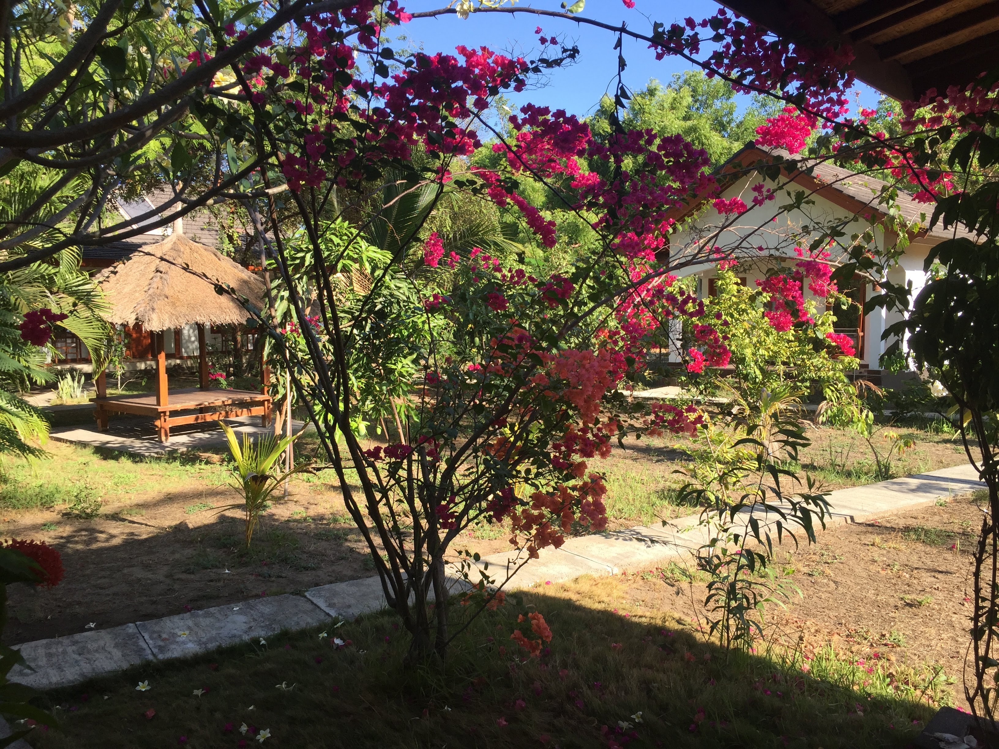 Bidara Cottage-浴室