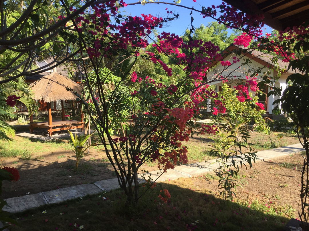 Bidara Cottage主图