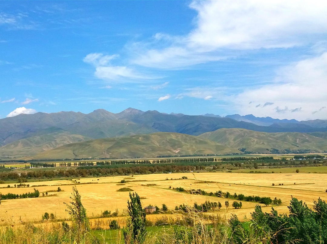 新疆伊犁州伊宁县天鹅泉湿地公园景点图片