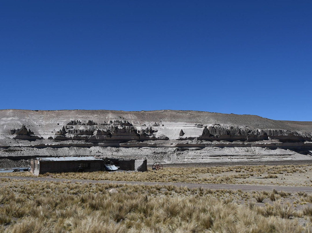 Stone Forest-Patahuasi必去景点