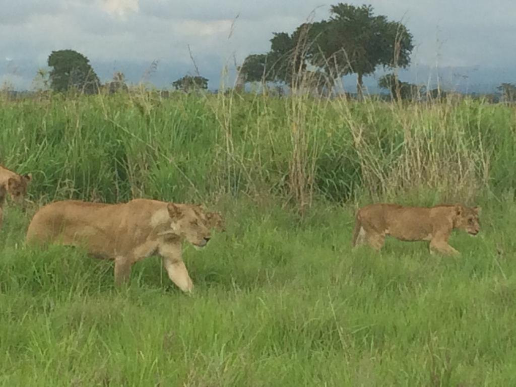 Yetu Safaris-莫洛哥罗必去景点