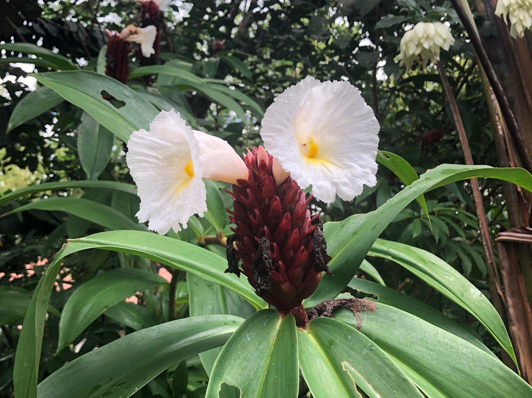 Naturalmente B&B Boutique Bungalows主图