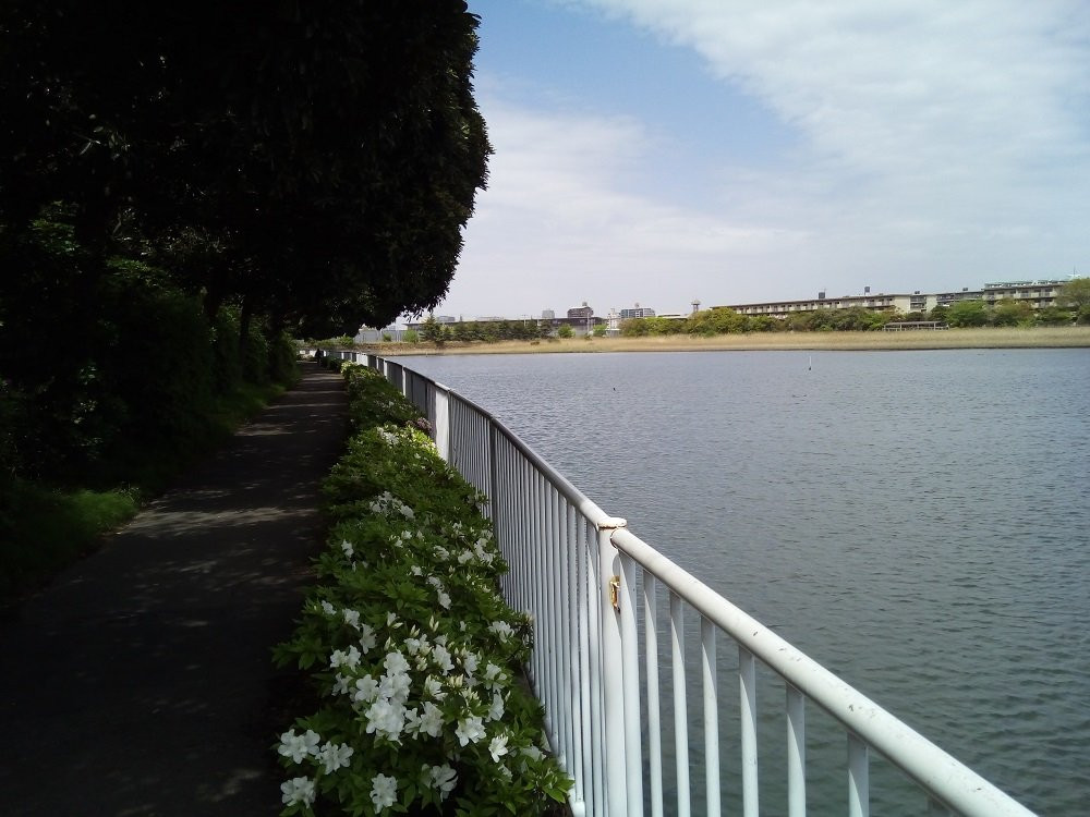Yatsu Tidal Flats-习志野市必去景点