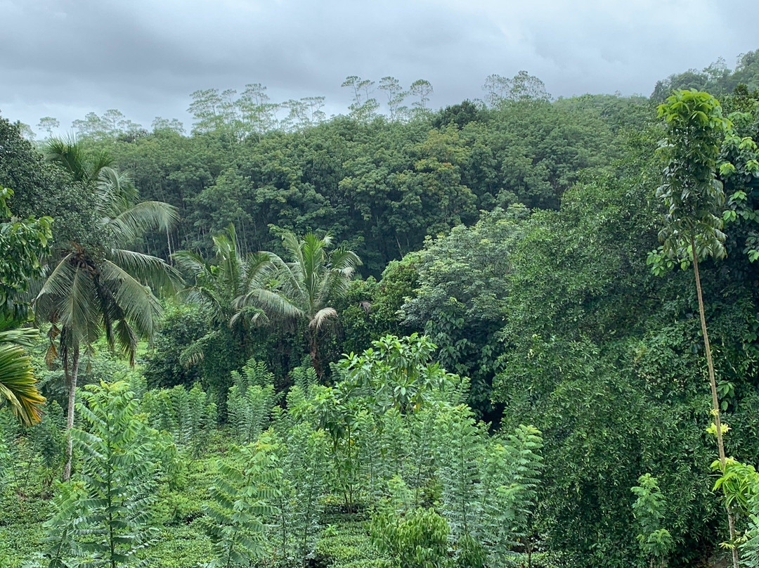 Diya Ulpatha Tea Garden Resort主图