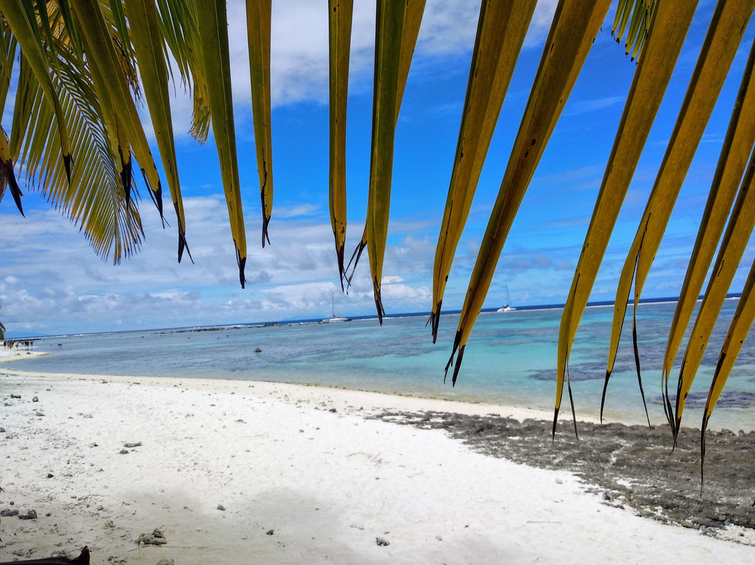 Excursion Tetiaroa-帕皮提必去景点