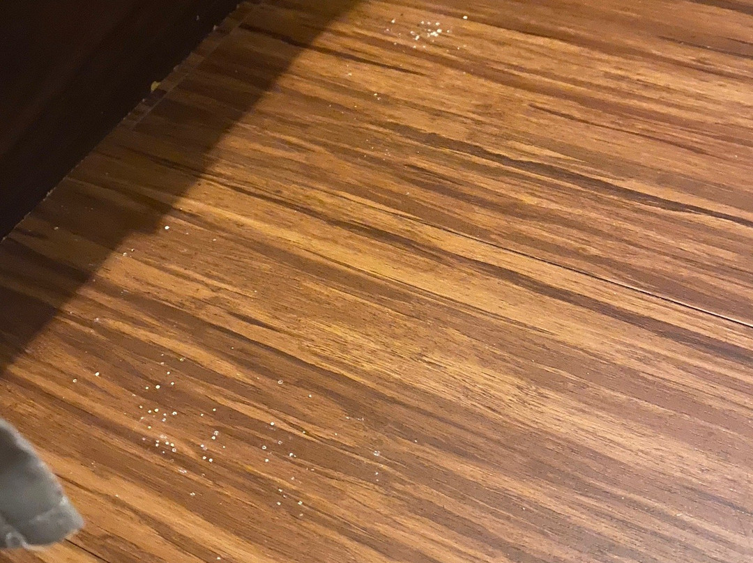 Orange County National Golf Center and Lodge主图