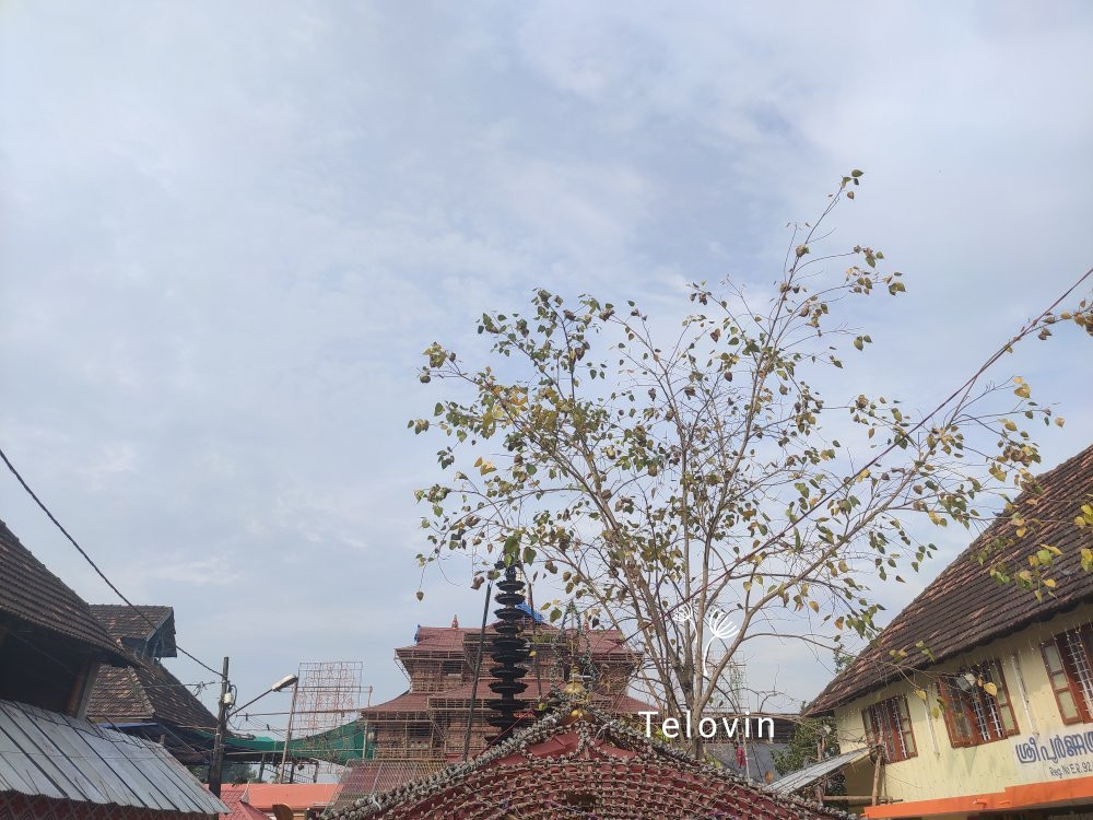 Poornathrayesa Temple景点图片