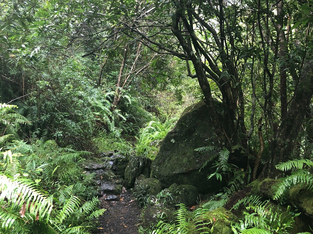 Cascade de trou noir景点图片