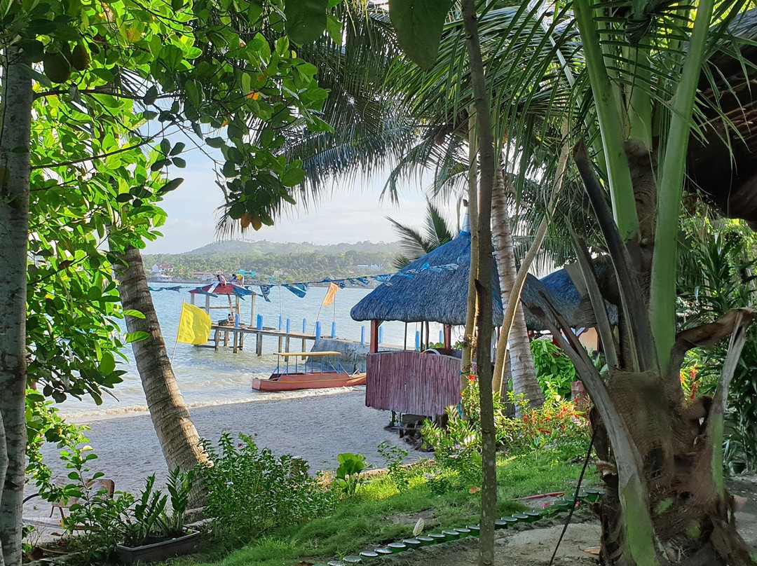 Big Fins Dive Center-San Jacinto必去景点