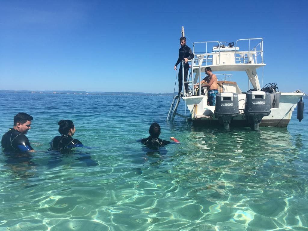 Frogman Dive Center-图卡卡斯必去景点