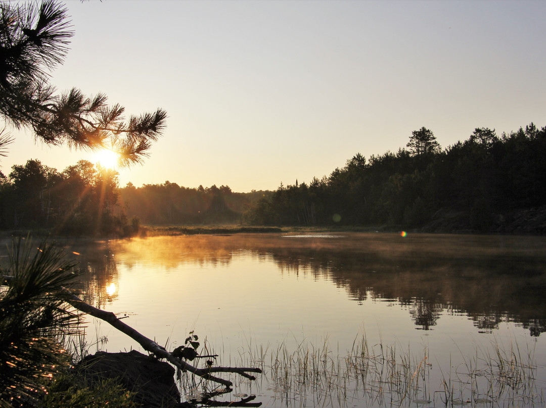 Kivi Park-Sudbury必去景点