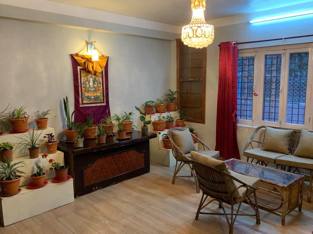 yoga & meditation retreat with monks景点图片