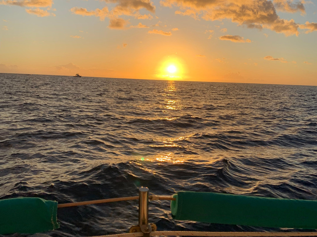 Kona Sail Charters-凯鲁瓦-柯纳必去景点