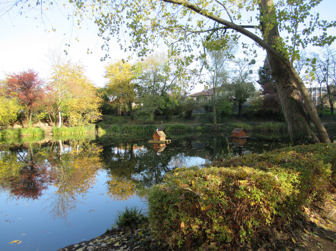 Lac des Primevères景点图片