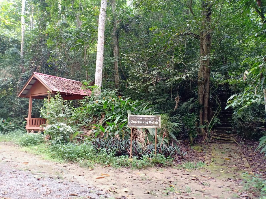Kota Gelanggi Caves景点图片