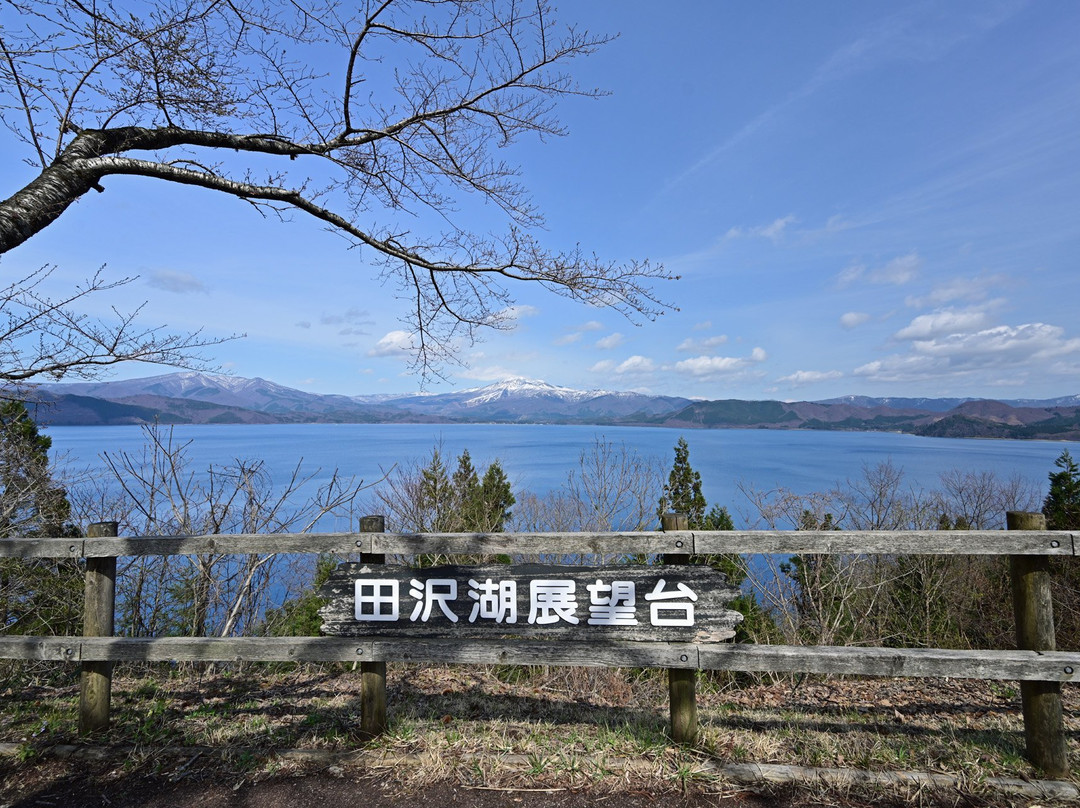 Katamaeyama Forest Park-仙北市必去景点