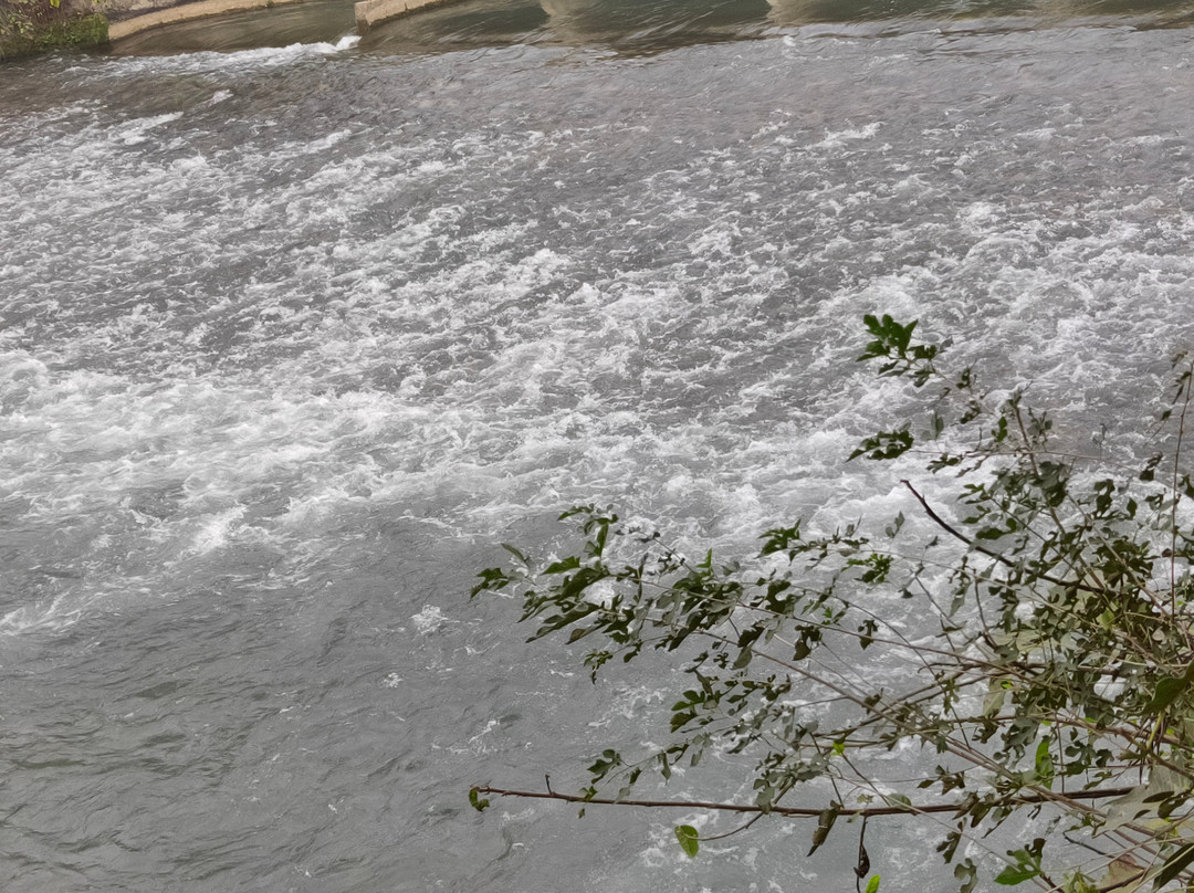 The Kothi Village Stay主图