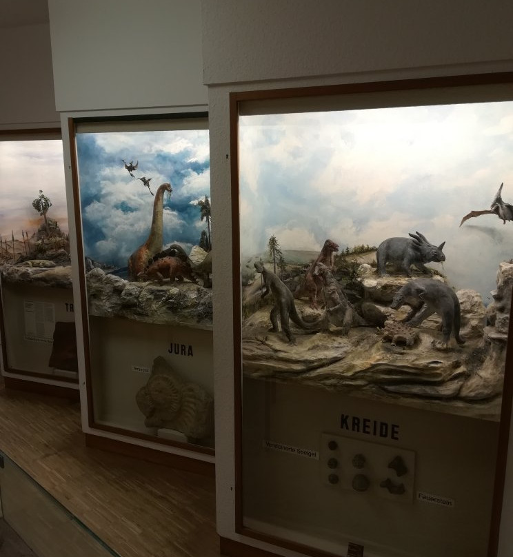 Pfalzmuseum für Naturkunde-巴特迪克海姆必去景点