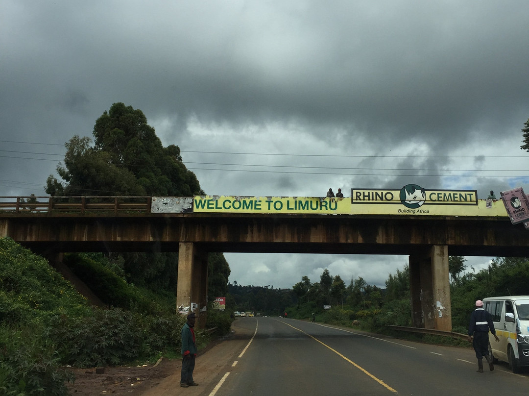 Limuru Young Farmers Lodging & Restaurant
