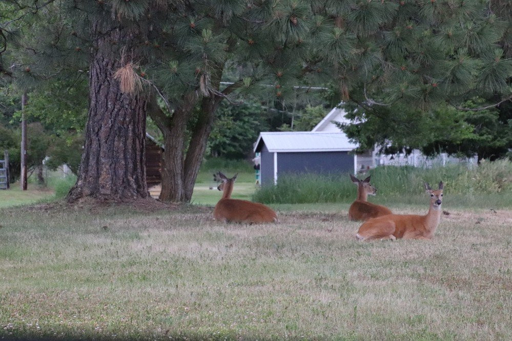 Rattlesnake National Recreation Area-米苏拉必去景点