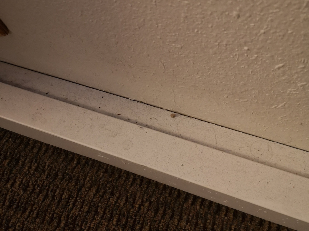 Fargo Inn & Suites主图