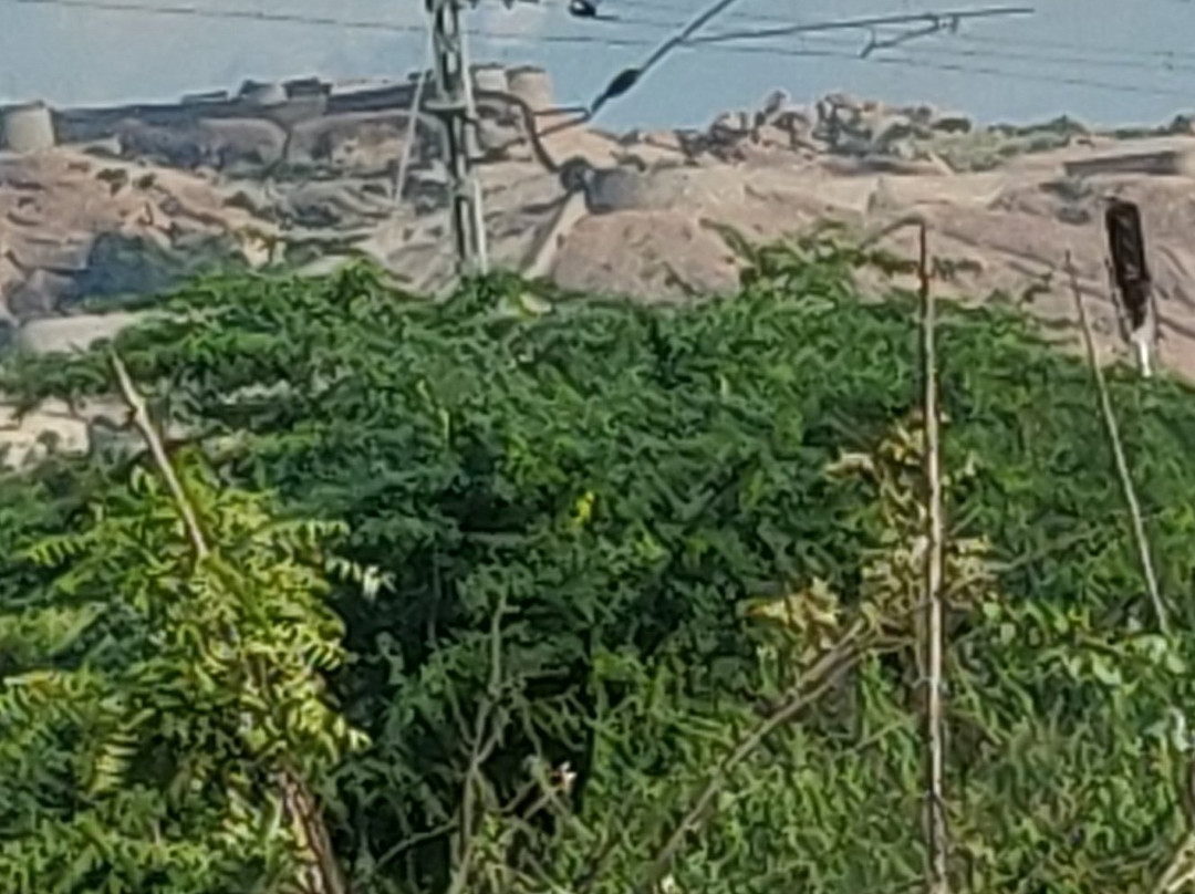 Hotel Royal Fort主图