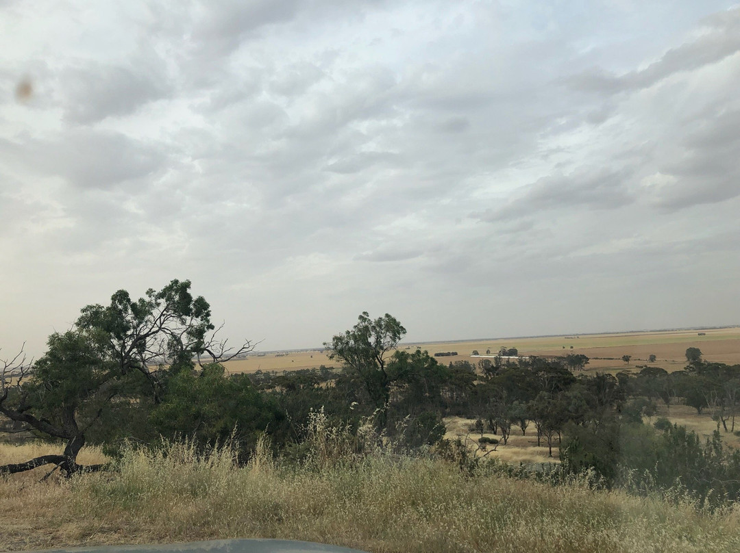 Mt Wycheproof-Wycheproof必去景点