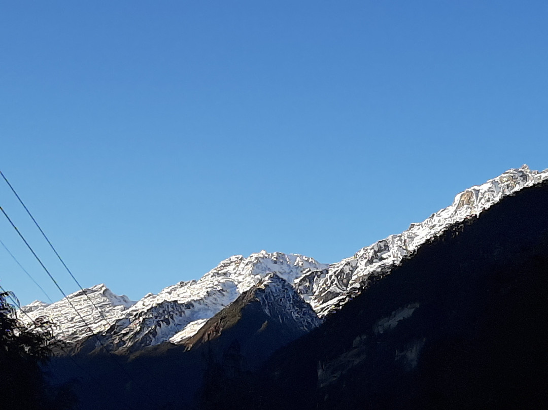 Delight Royal Lachen主图