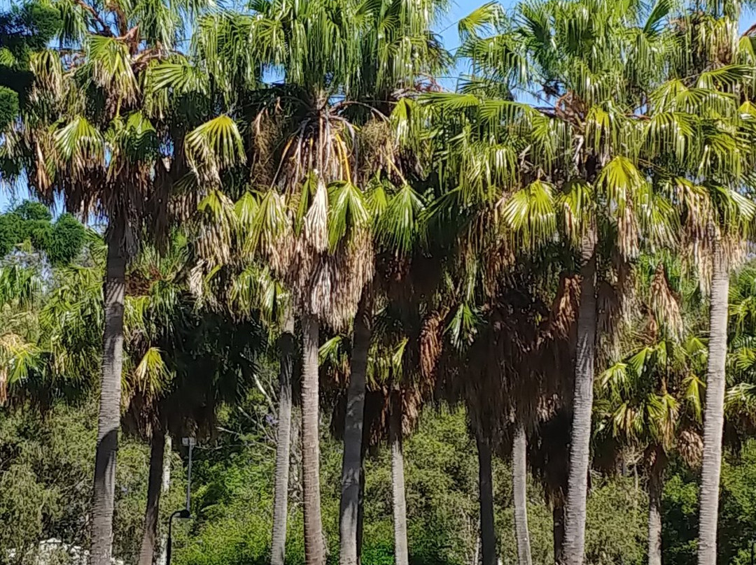 Pacific Palms Resort主图