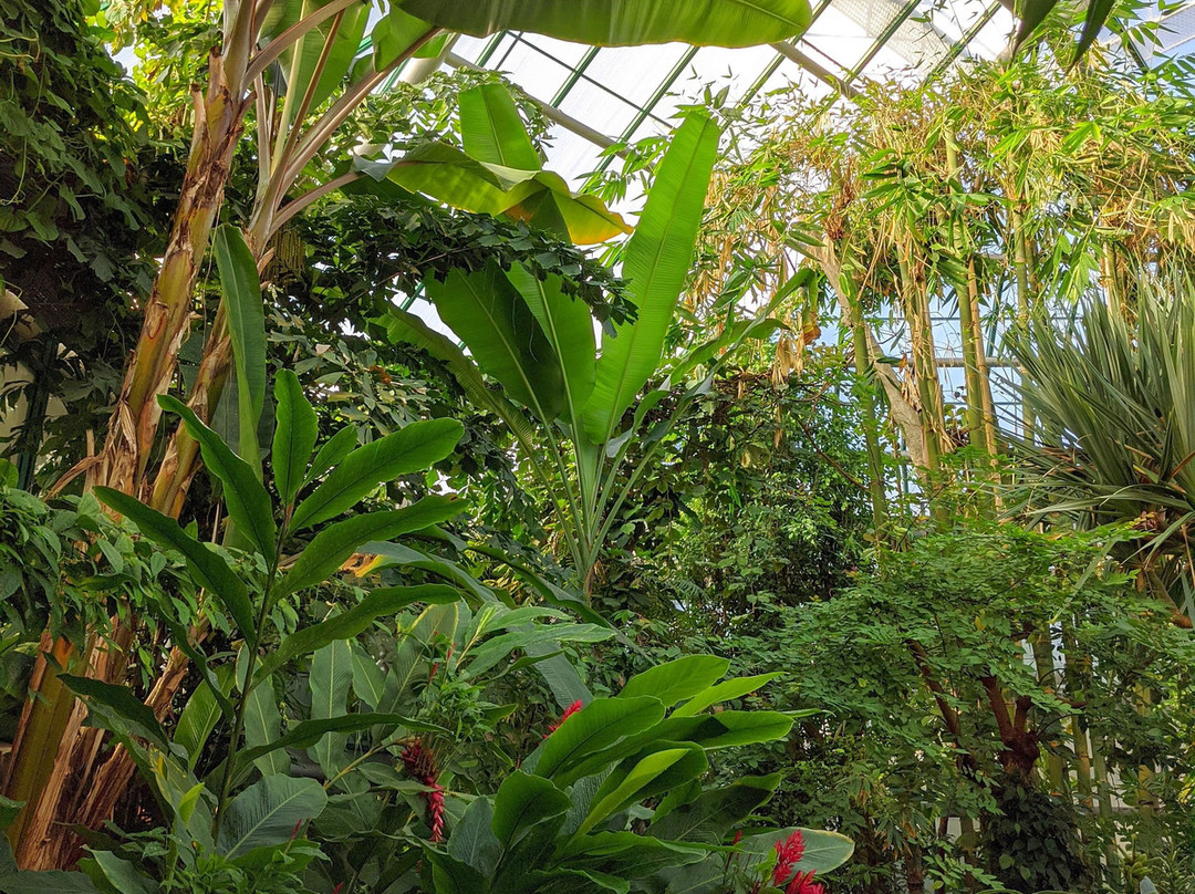 Liberec Botanical Garden-利贝雷茨必去景点