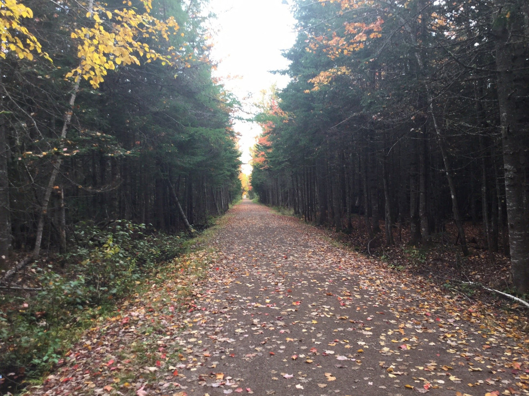 Irishtown Nature Park-蒙古顿必去景点