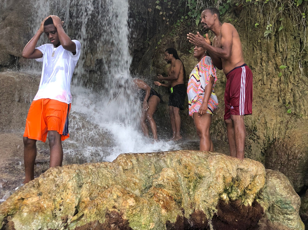 Little Dunn's River Falls景点图片