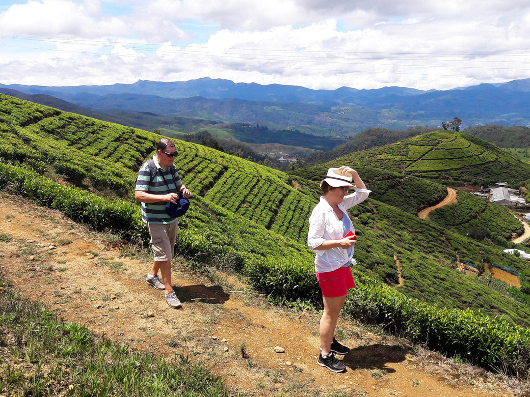Nuwara Eliya Roots-奴娃拉伊利雅必去景点