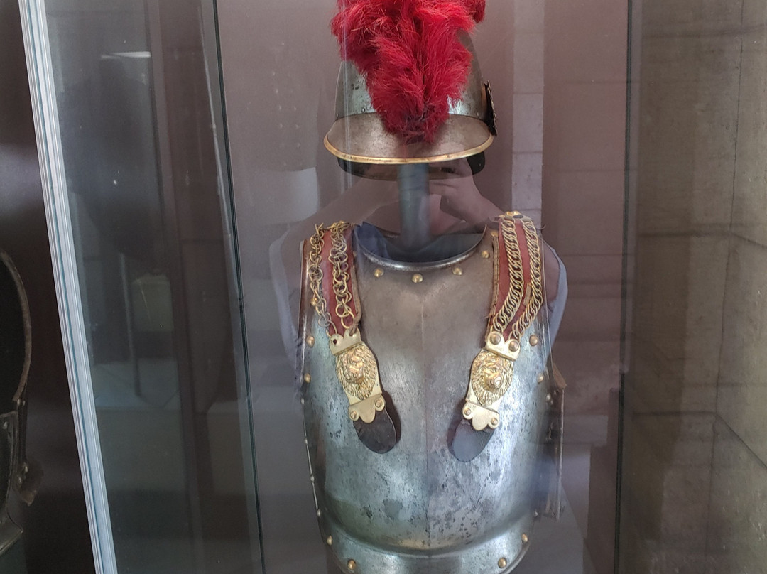 Museo Napoleonico景点图片