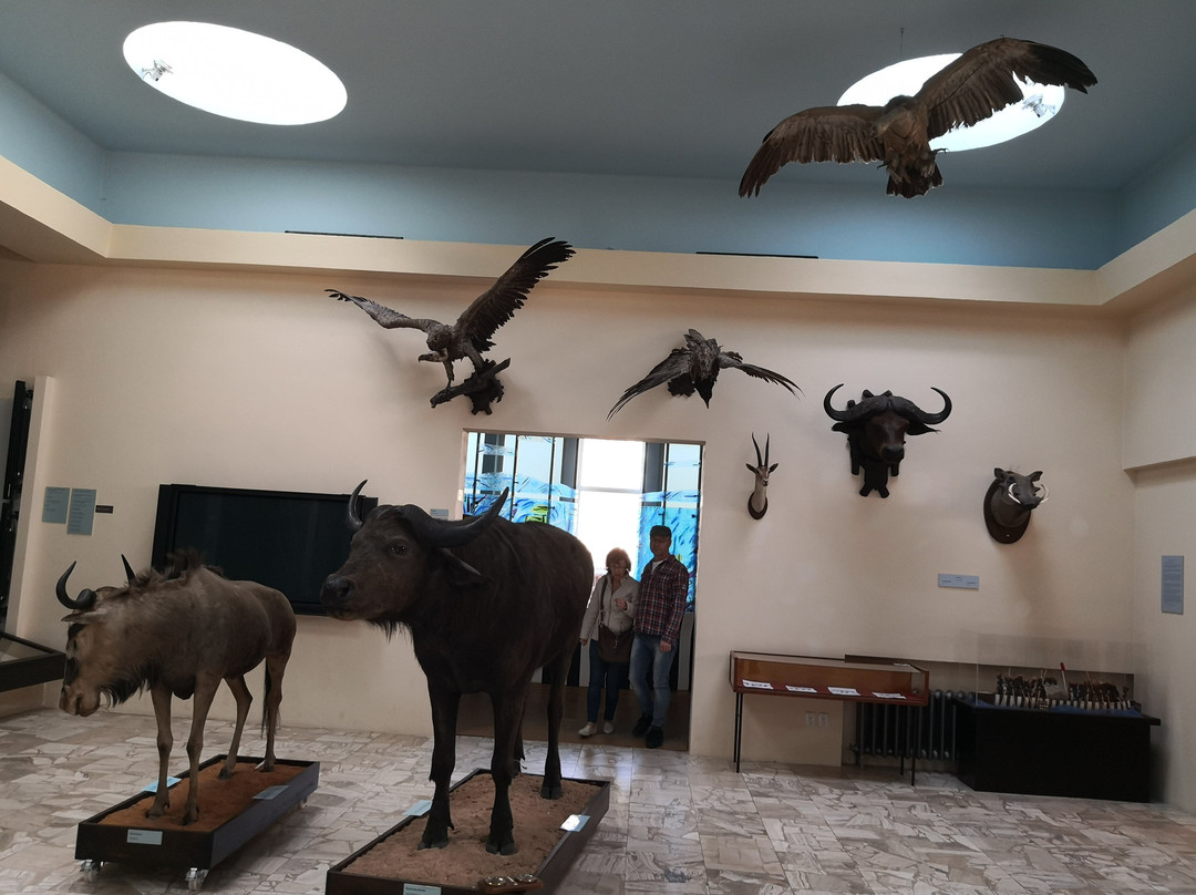 African Museum by Dr. Emil Holub-Holice必去景点