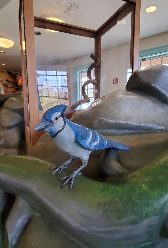 Audubon Center-格林尼治必去景点