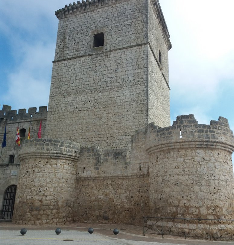 Castillo de Portillo景点图片
