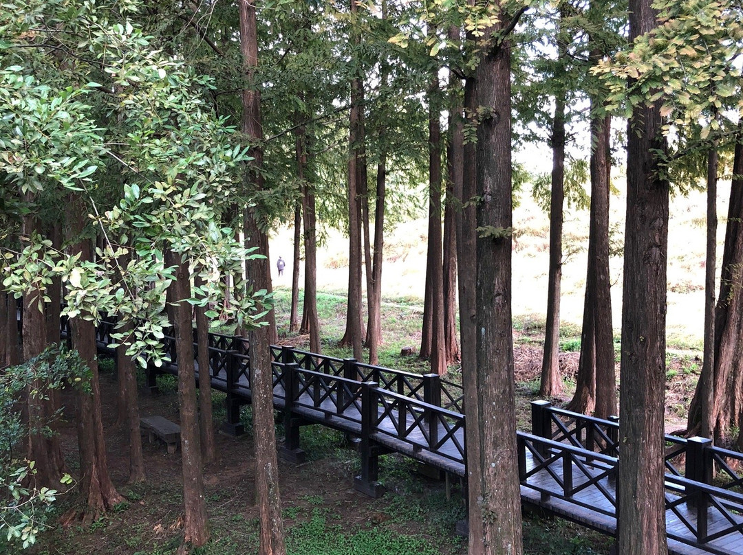 Gwangjuho Lake Eco Park-光州必去景点