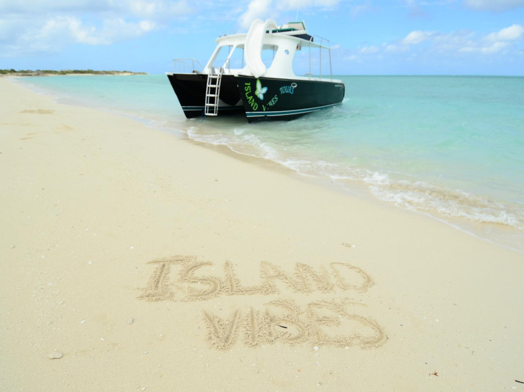 Island Vibes Tours景点图片